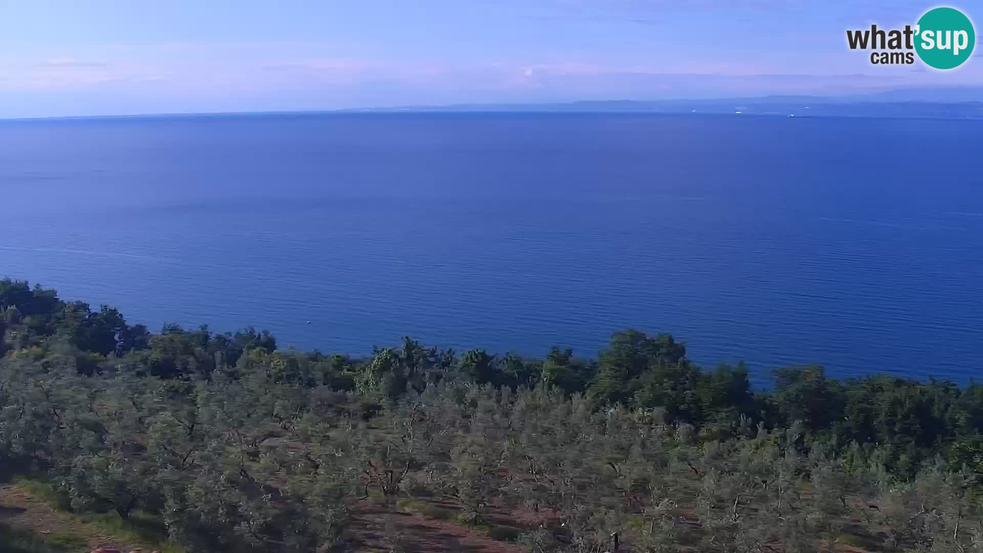 Izola v živo – enkraten pogled  s hotelov Belvedere
