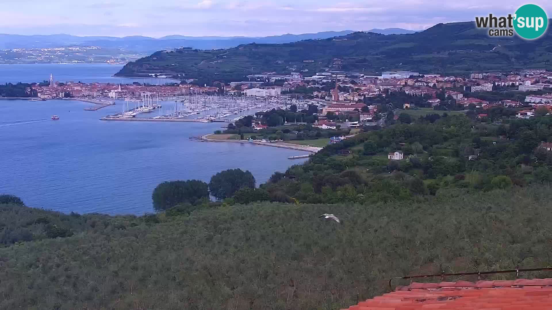 Izola webcam – Amazing view from Belvedere hotels