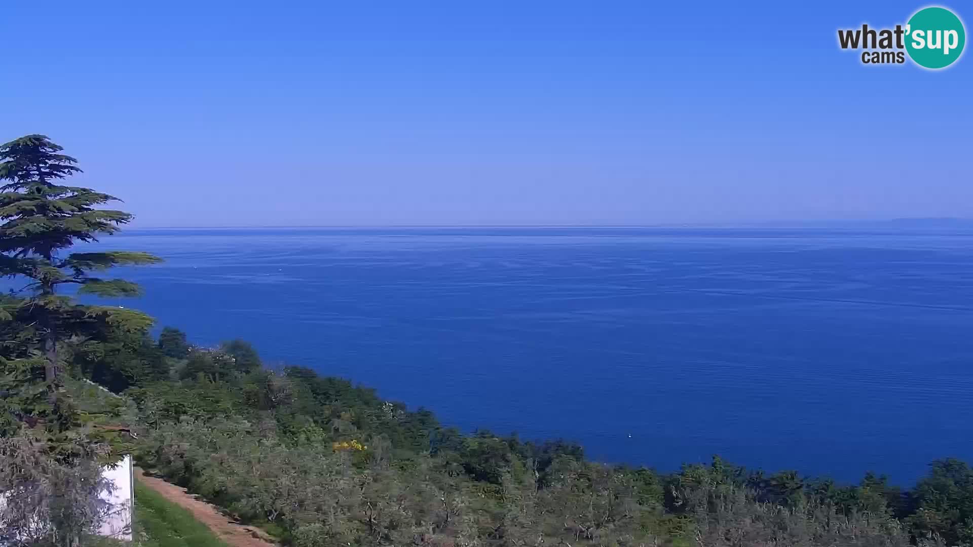 Izola live cam- Amazing view from Belvedere hotels
