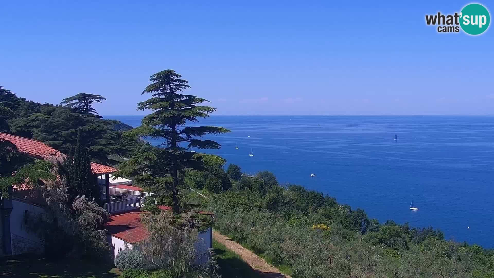 Izola en vivo – Amazing view from Belvedere hotels