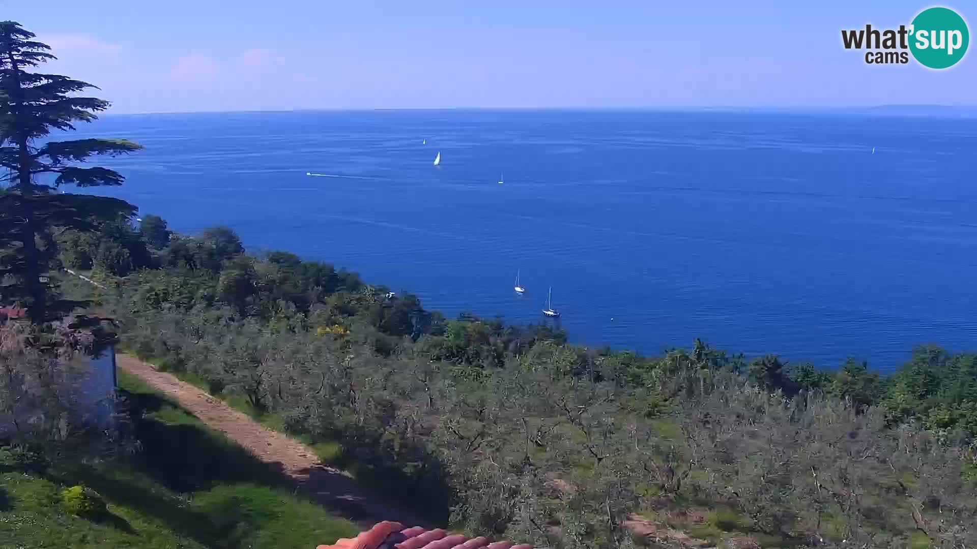 Izola live cam- Amazing view from Belvedere hotels