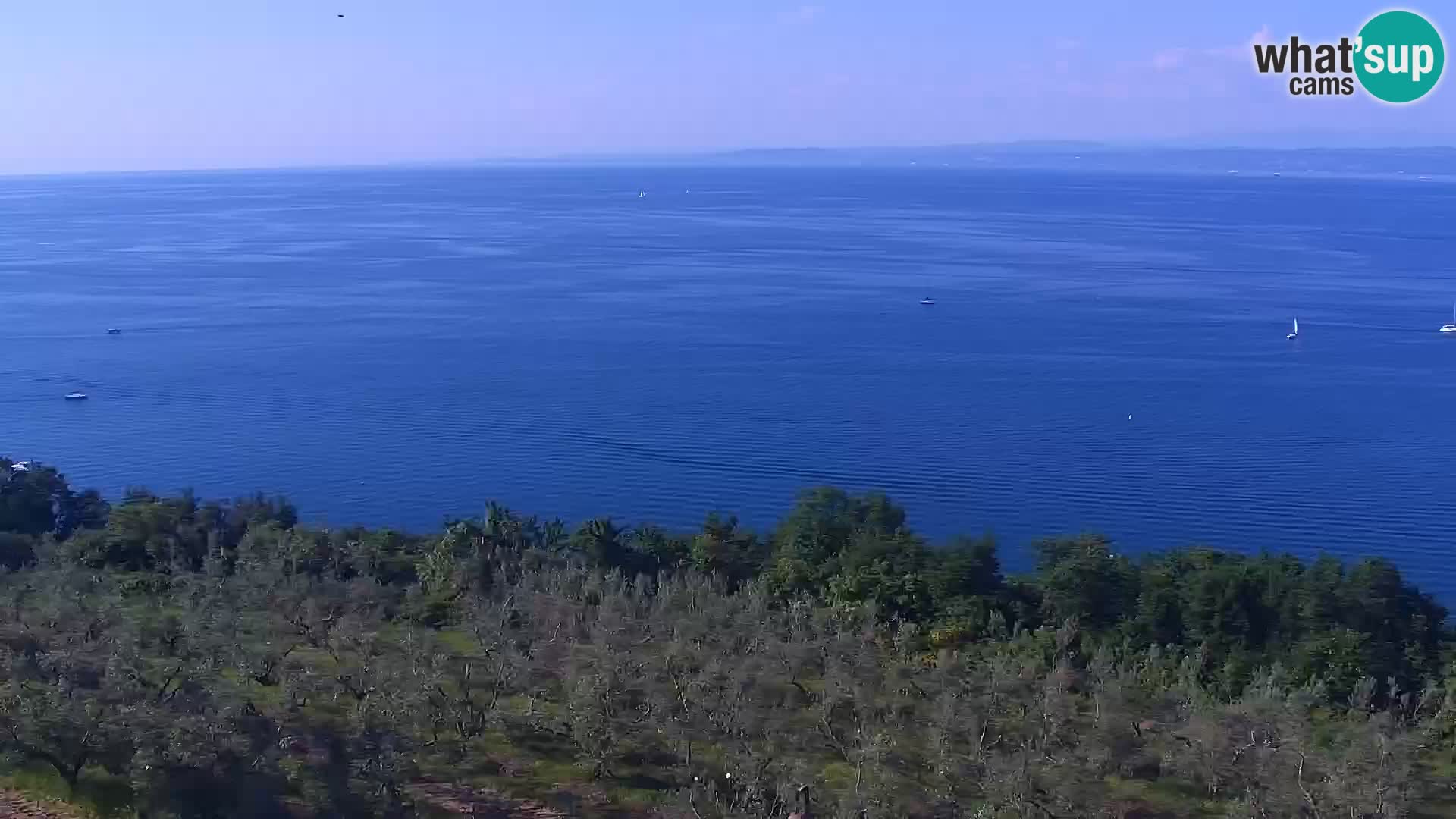Izola v živo – enkraten pogled  s hotelov Belvedere