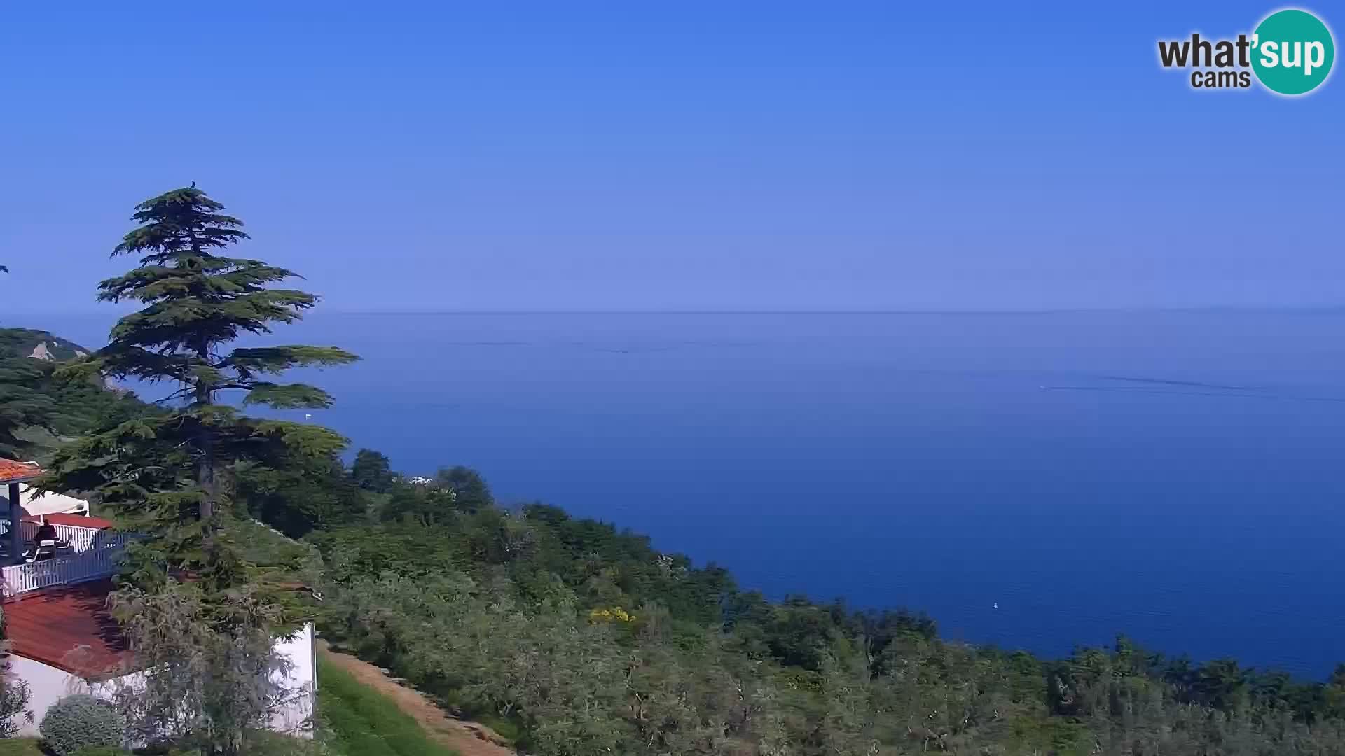 Izola en vivo – Amazing view from Belvedere hotels