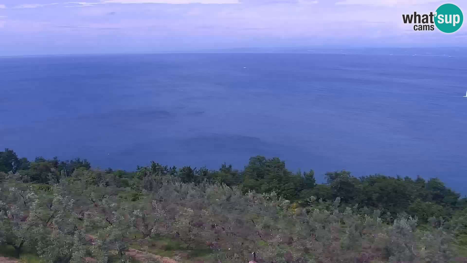 Izola live cam- Amazing view from Belvedere hotels