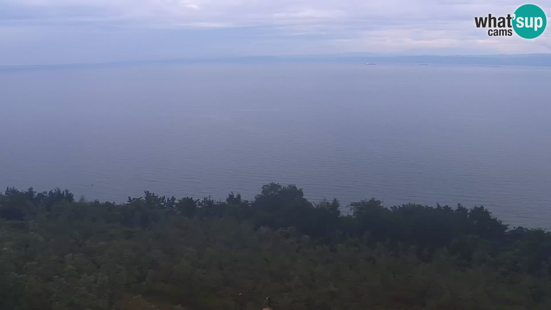 Isola livecam – incantevole panorama dagli hotel Belvedere
