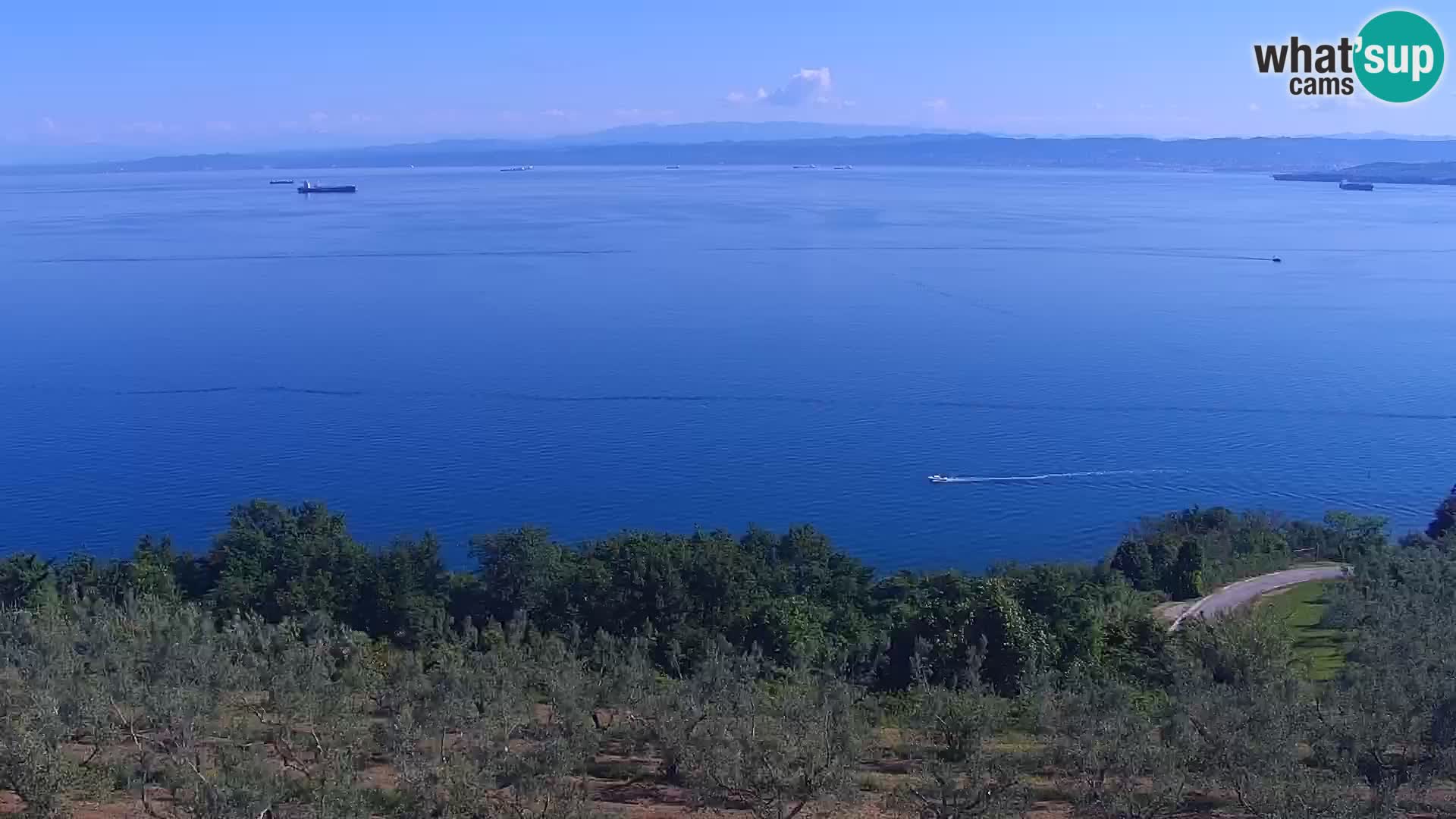 Izola webcam – Amazing view from Belvedere hotels