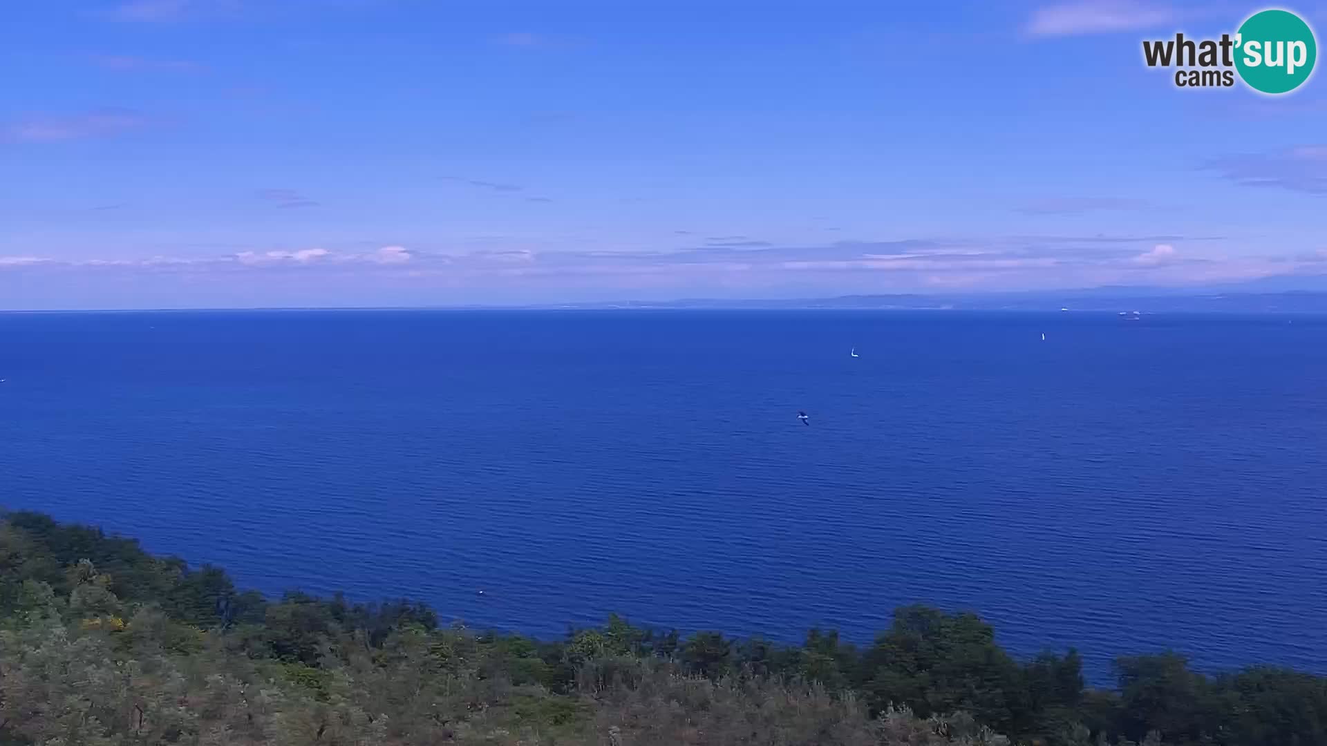Izola webcam – Amazing view from Belvedere hotels