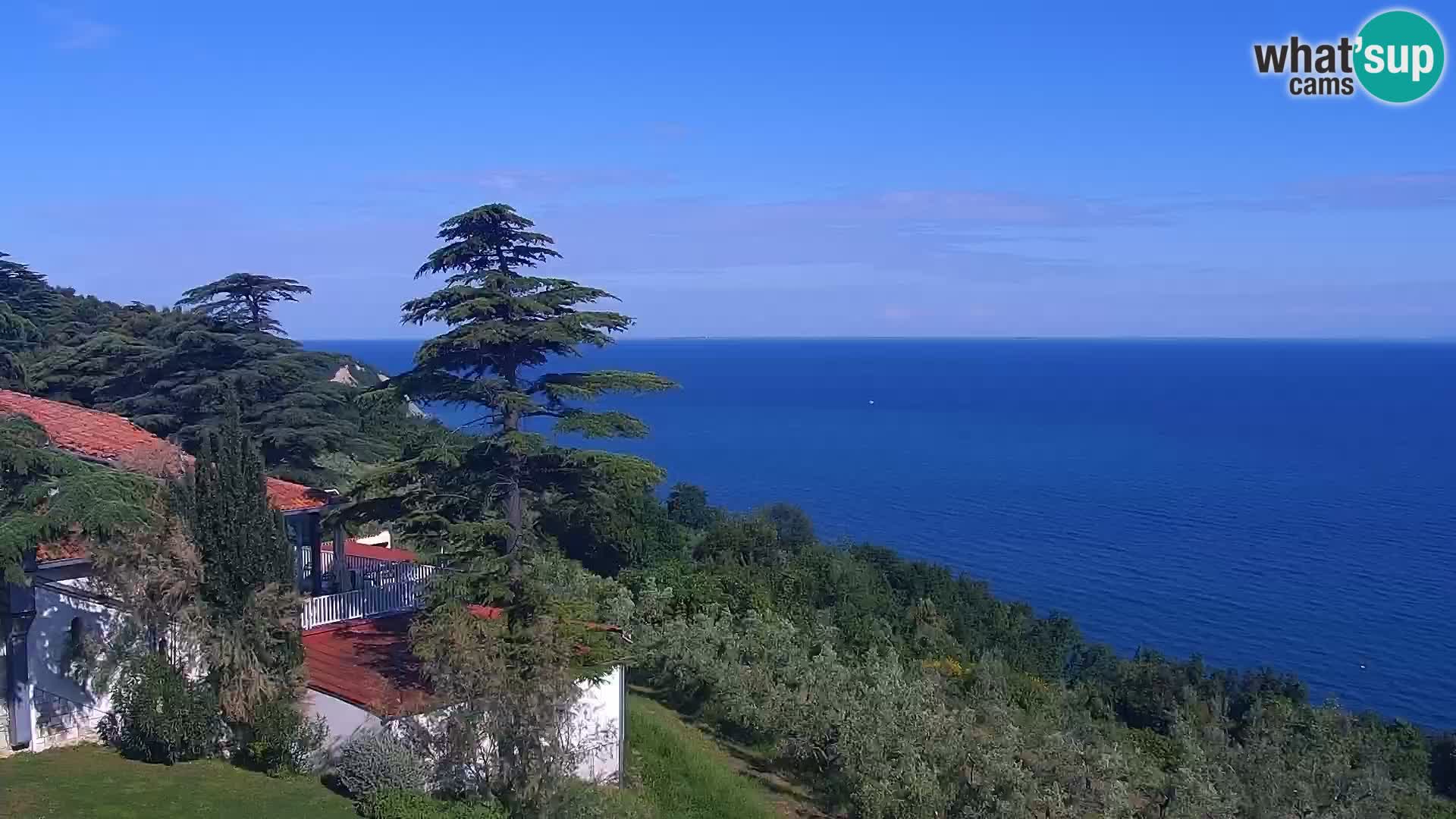 Izola webcam – Amazing view from Belvedere hotels