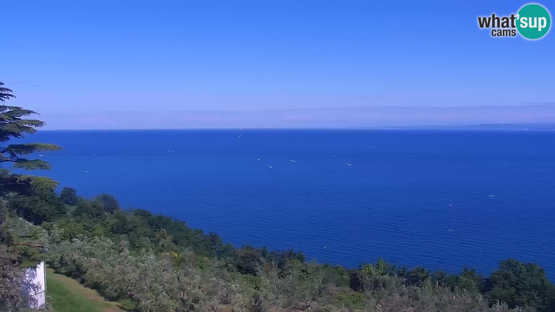 Web Kamera Izola – plaža San Simon