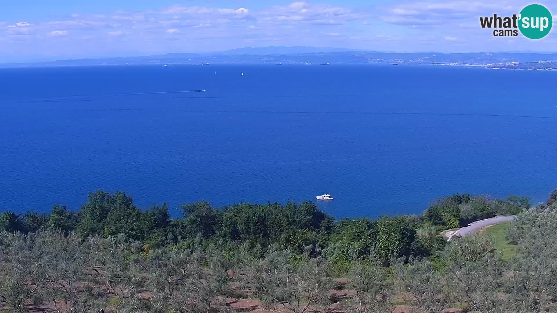 Izola en vivo – Amazing view from Belvedere hotels