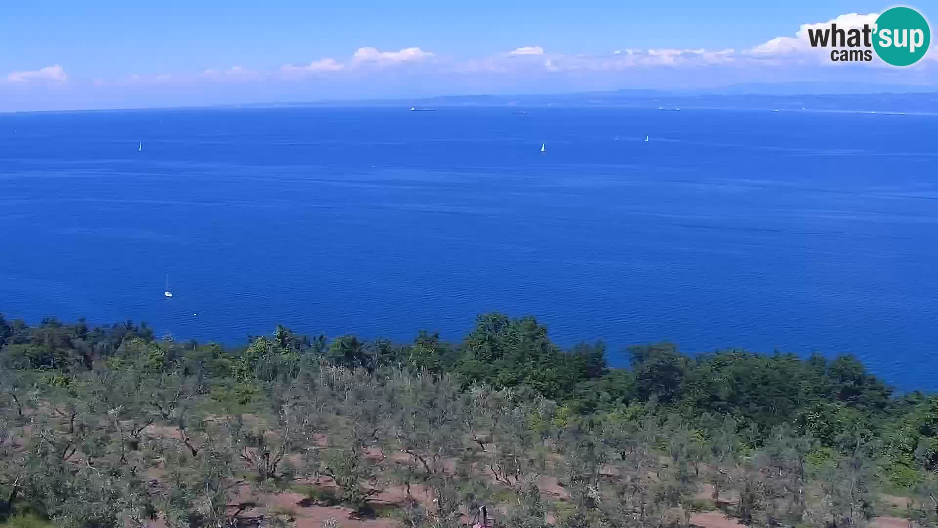 Spletna kamera Izola – plaža San Simon