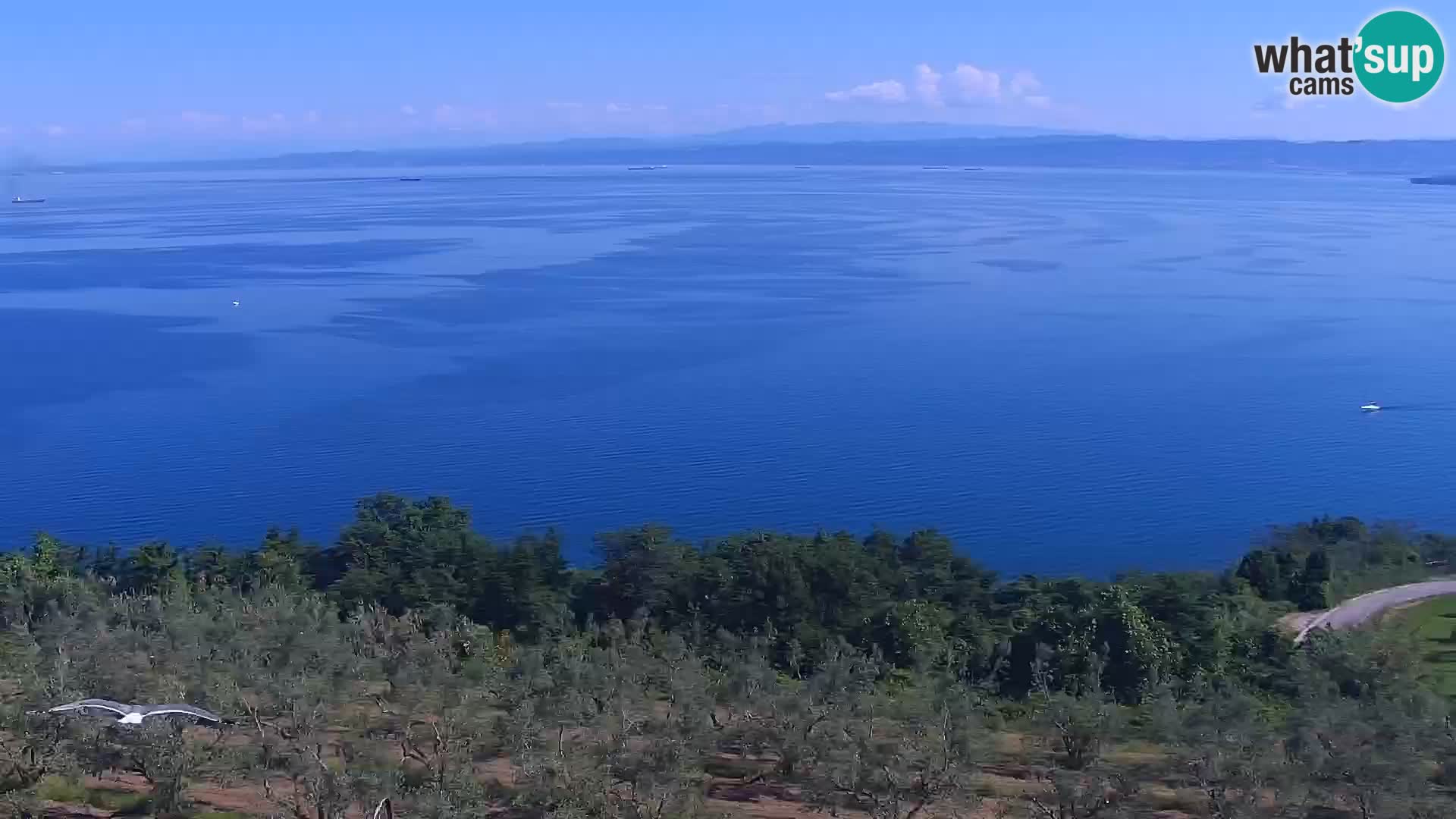 Izola web kamera – enkraten pogled  sa hotelov Belvedere
