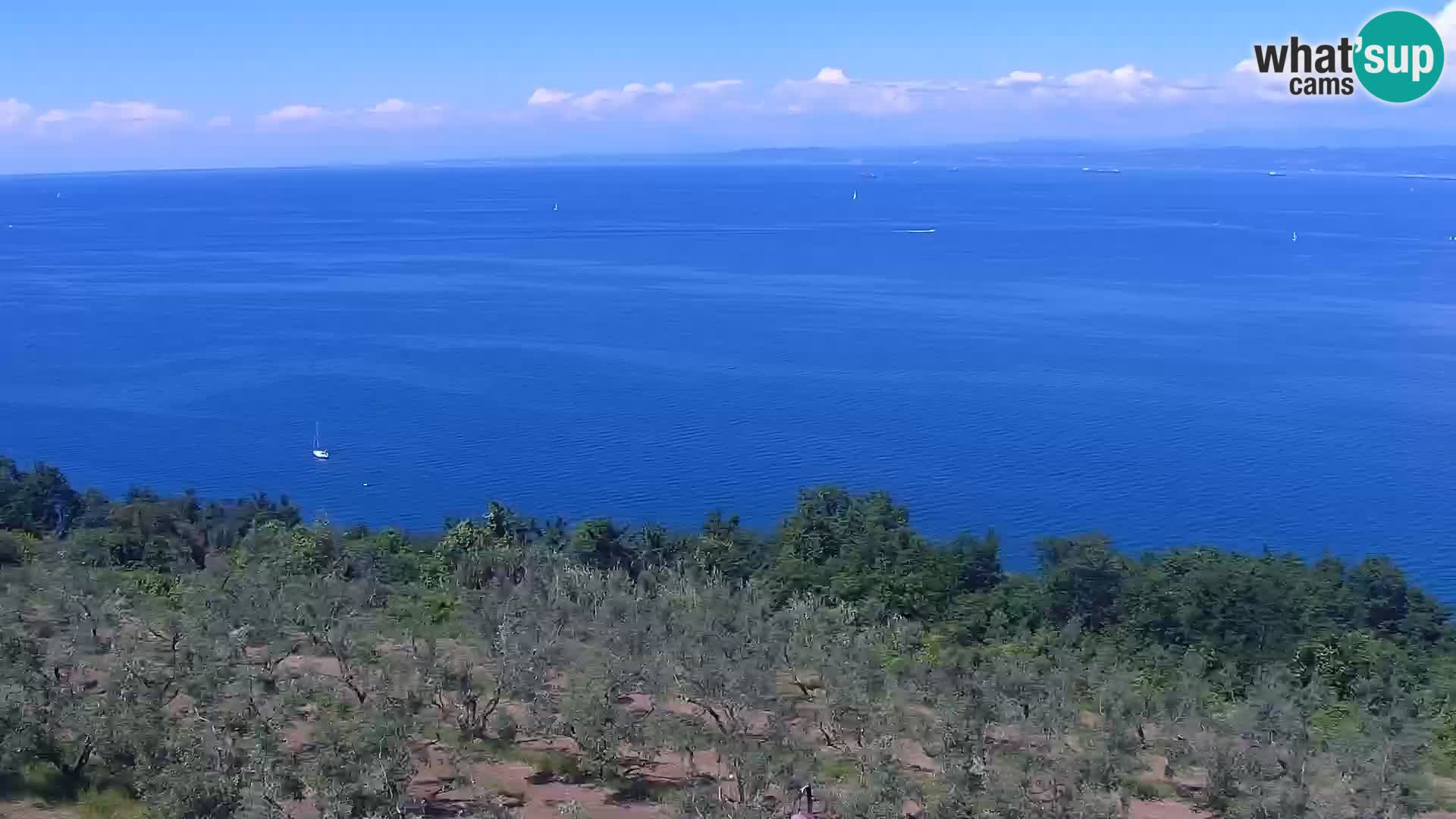 Izola webcam – Amazing view from Belvedere hotels