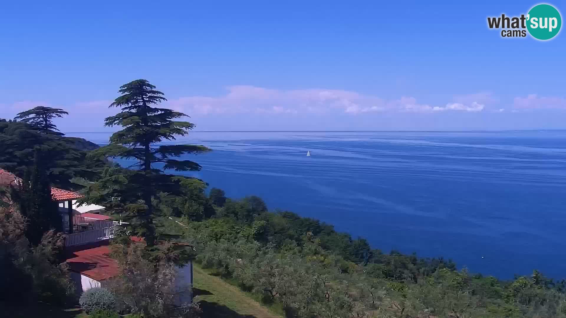 Izola en vivo – Amazing view from Belvedere hotels