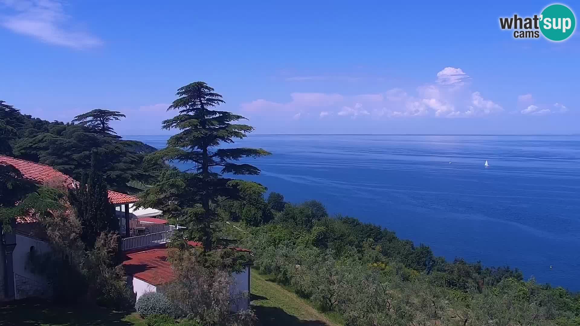 Izola web kamera – enkraten pogled  sa hotelov Belvedere
