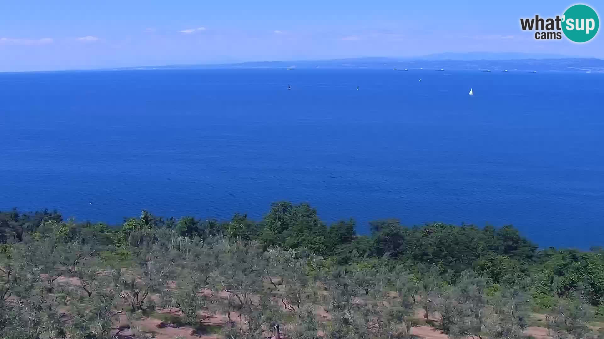 Izola webcam – Herrliche Aussicht von Belvedere Hotels