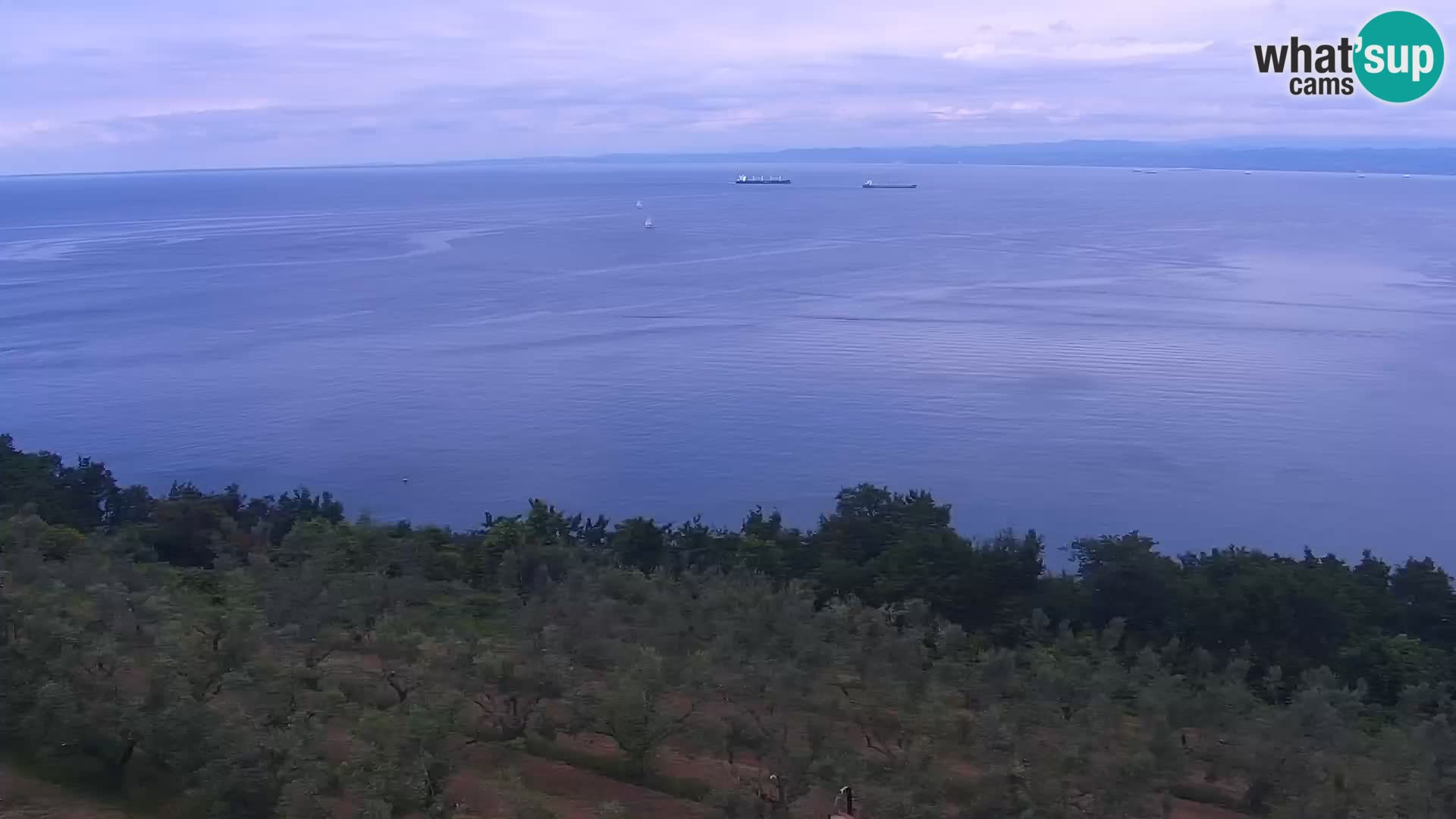 Isola livecam – incantevole panorama dagli hotel Belvedere
