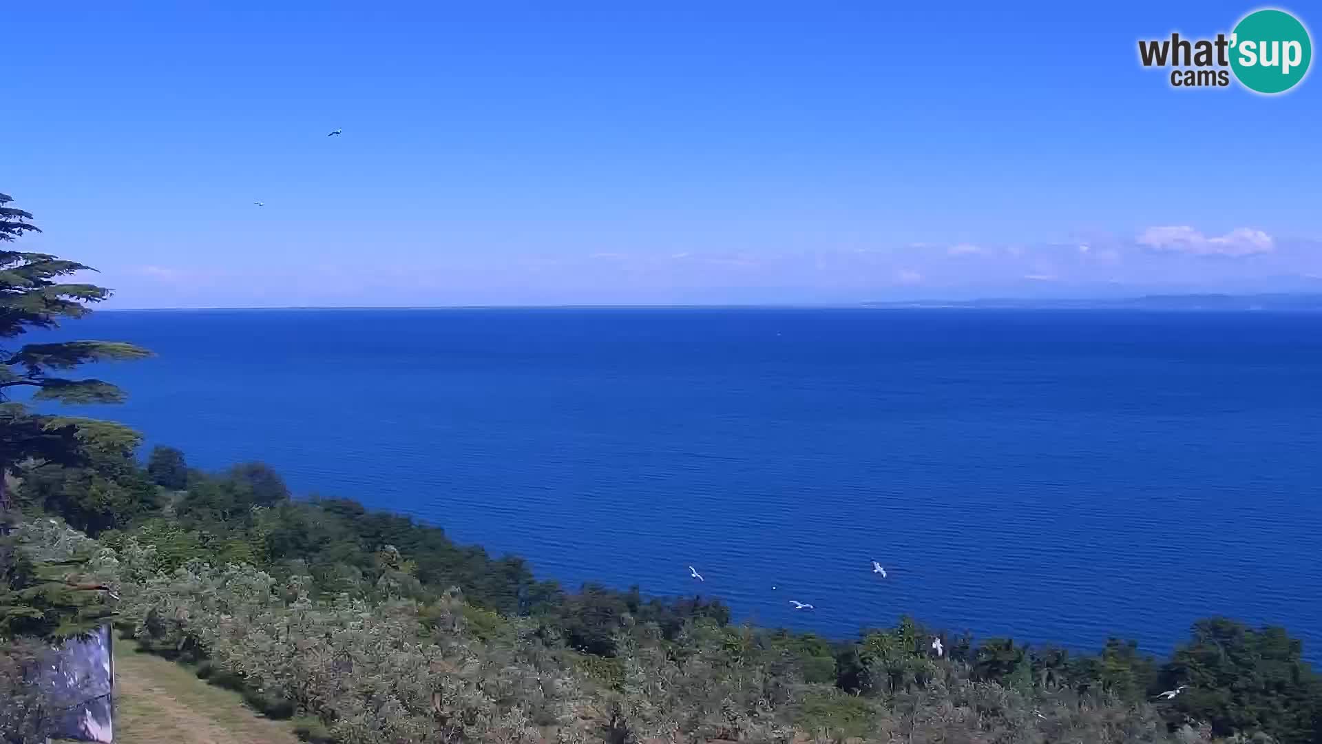 Izola webcam – Amazing view from Belvedere hotels