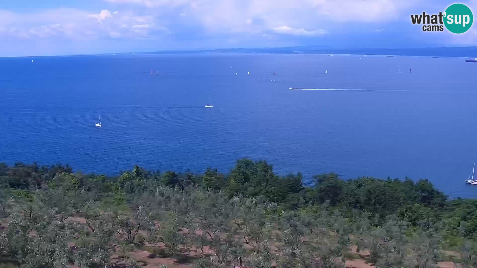 Isola livecam – incantevole panorama dagli hotel Belvedere