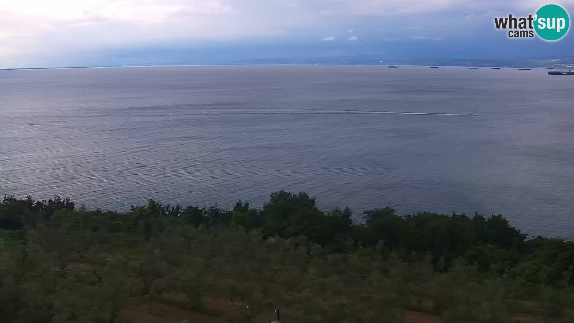 Izola web kamera – enkraten pogled  sa hotelov Belvedere