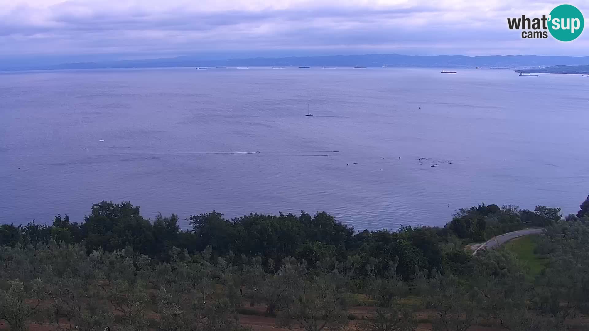 Webcam live Izola – strand San Simon