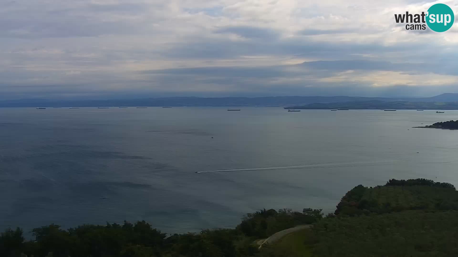 Izola webcam – Amazing view from Belvedere hotels