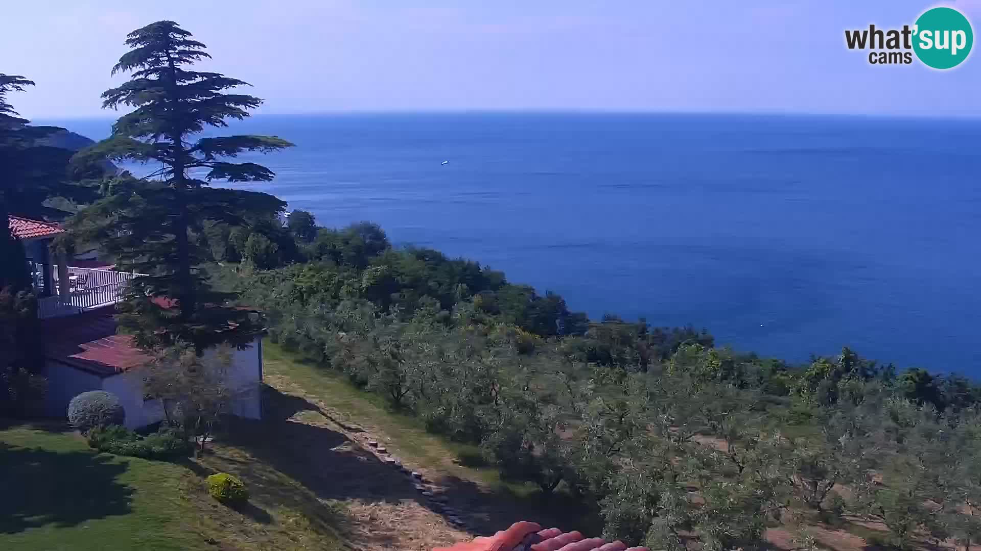 Izola en vivo – Amazing view from Belvedere hotels