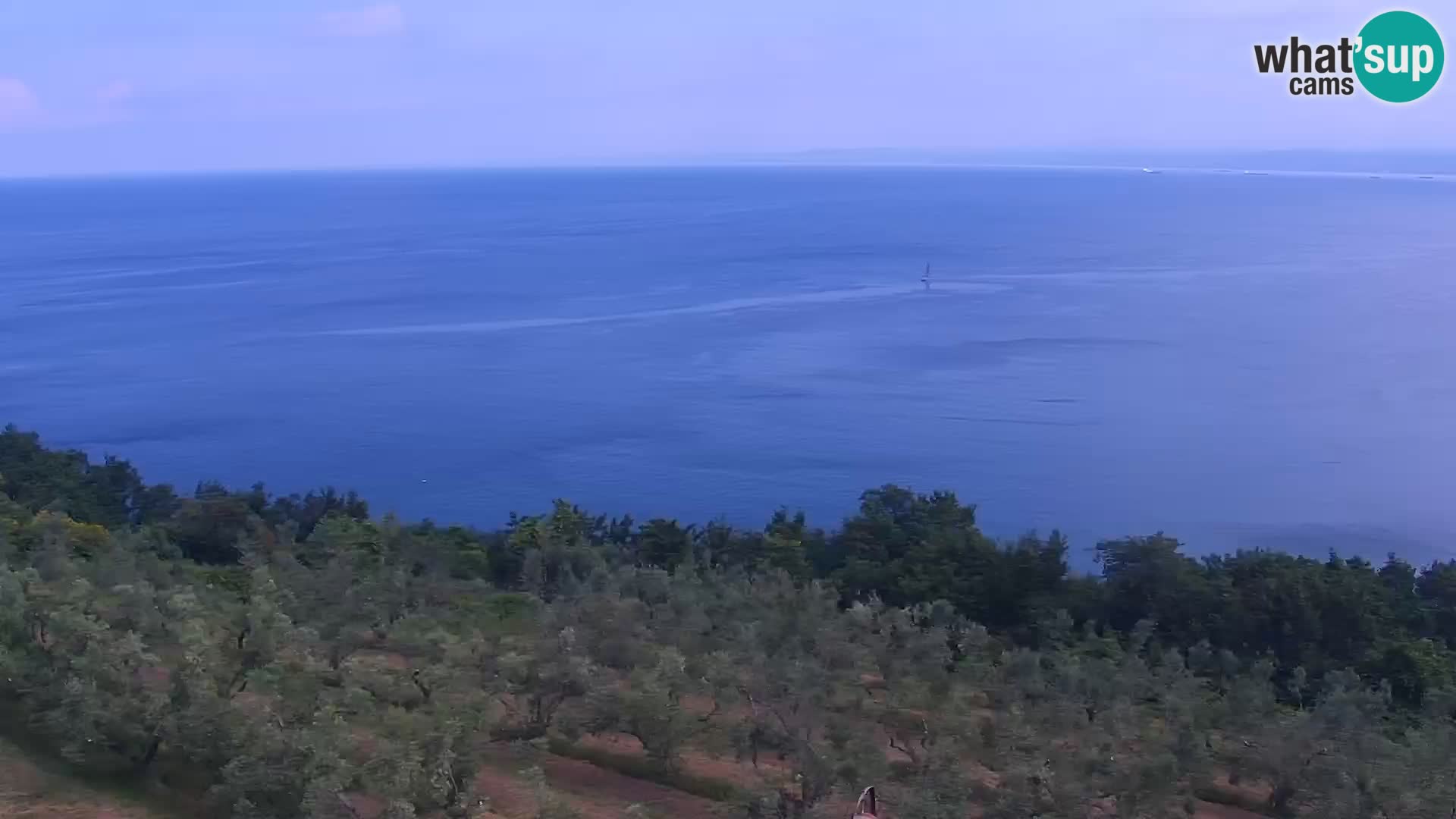 Izola web kamera – enkraten pogled  sa hotelov Belvedere