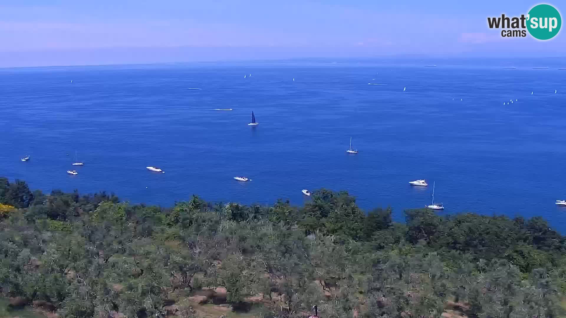 Izola live cam- Amazing view from Belvedere hotels