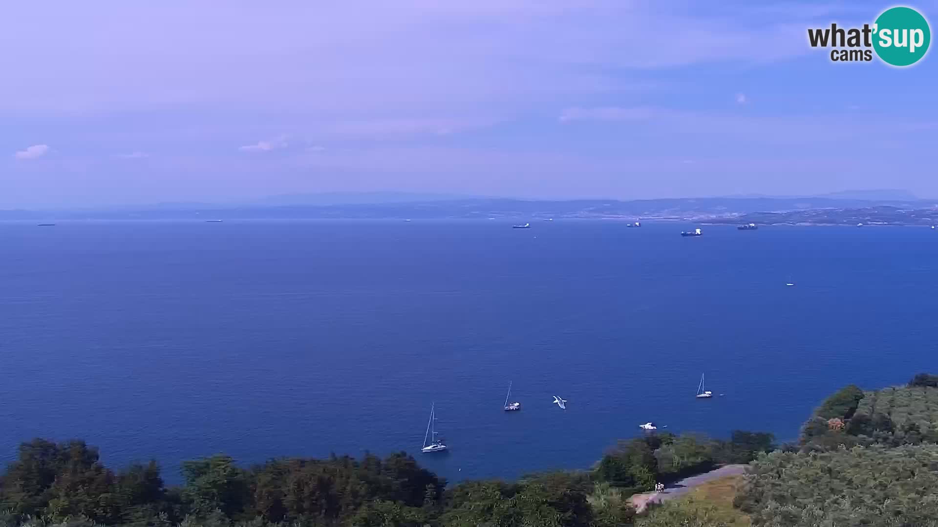 Webcam live Izola – strand San Simon