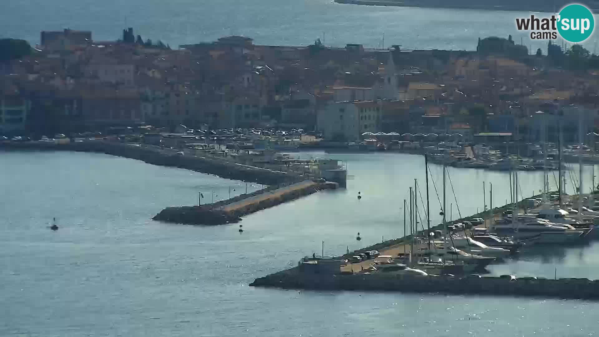 Izola v živo – enkraten pogled  s hotelov Belvedere