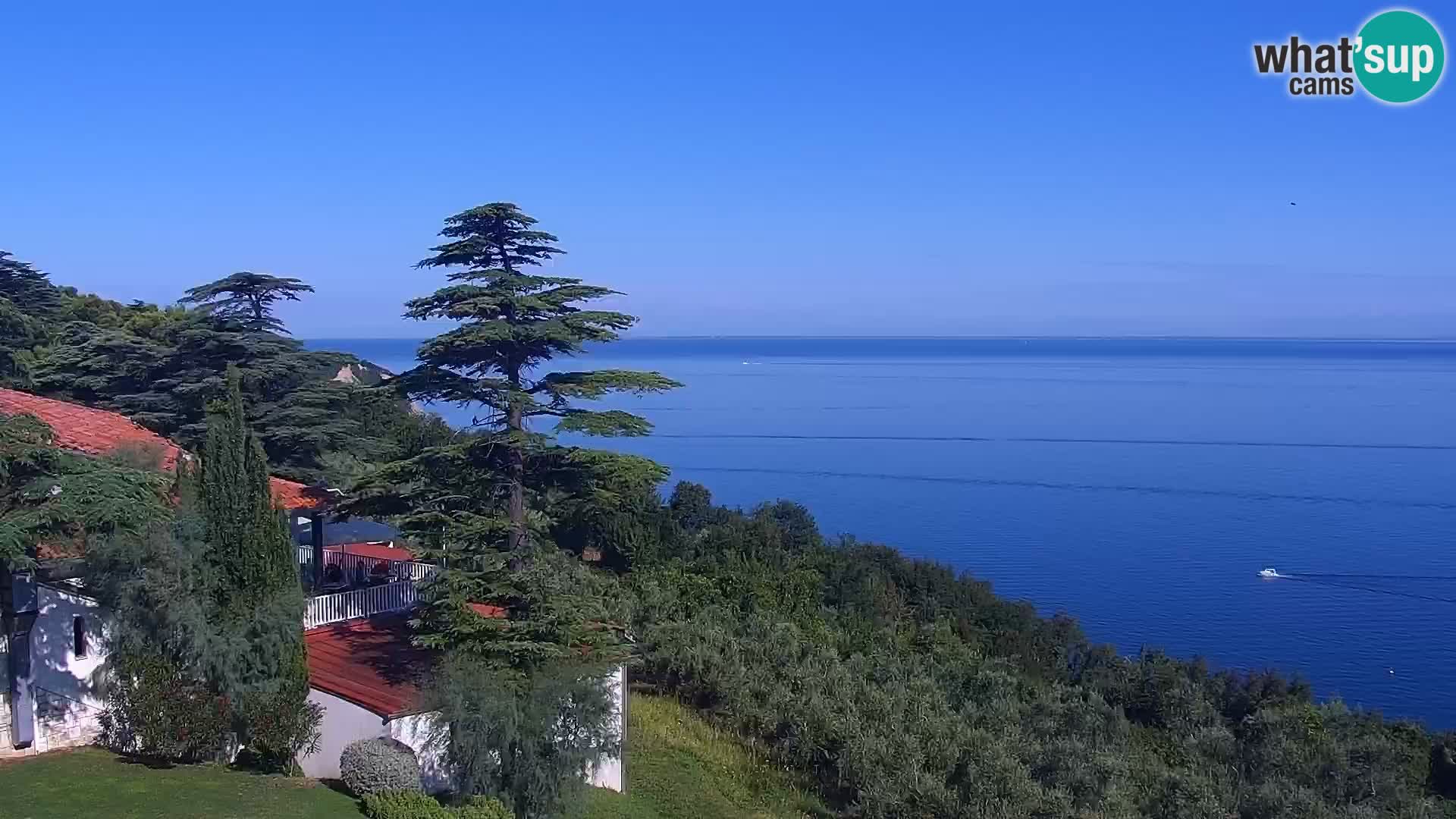 Izola live cam- Amazing view from Belvedere hotels