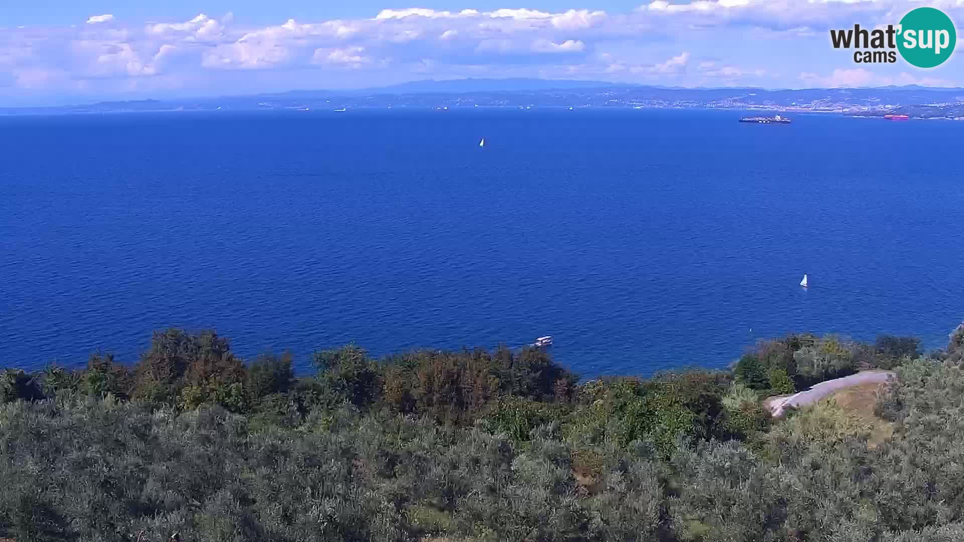 Izola en vivo – Amazing view from Belvedere hotels