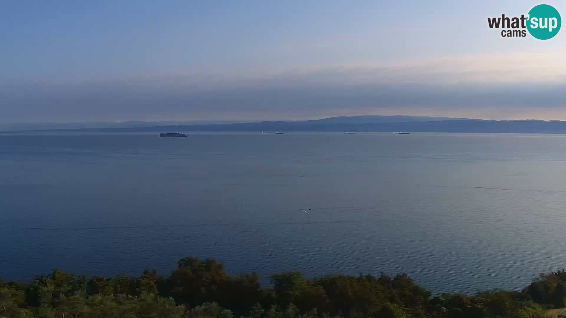 Izola webcam – Amazing view from Belvedere hotels