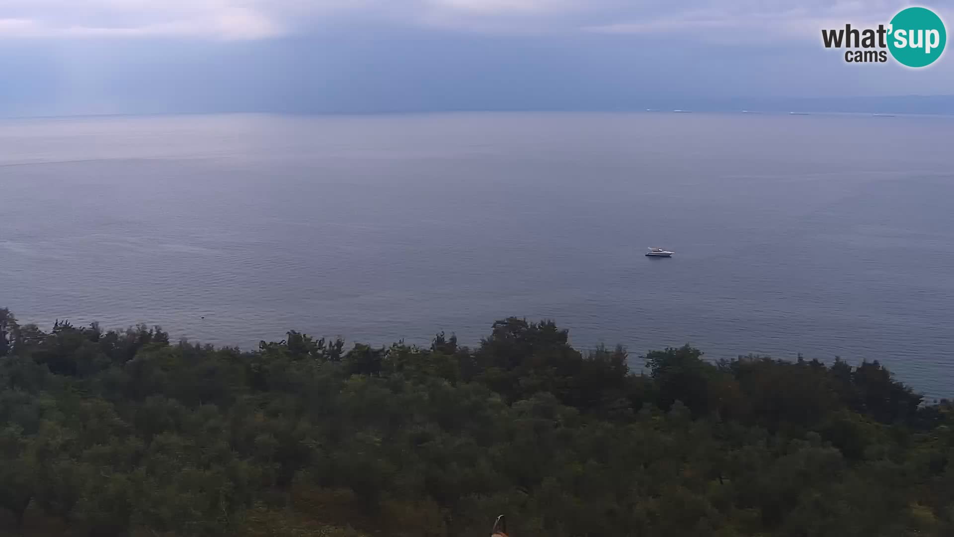 Izola spletna kamera – Pogled z Belvedere Hotels