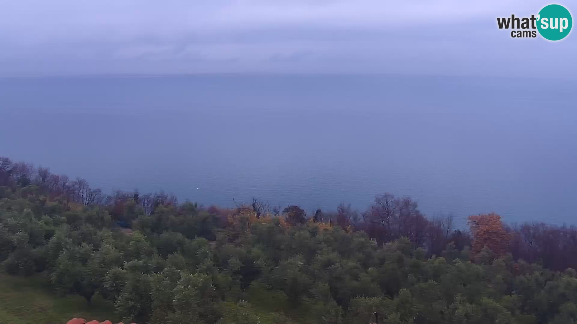 Izola v živo – enkraten pogled  s hotelov Belvedere