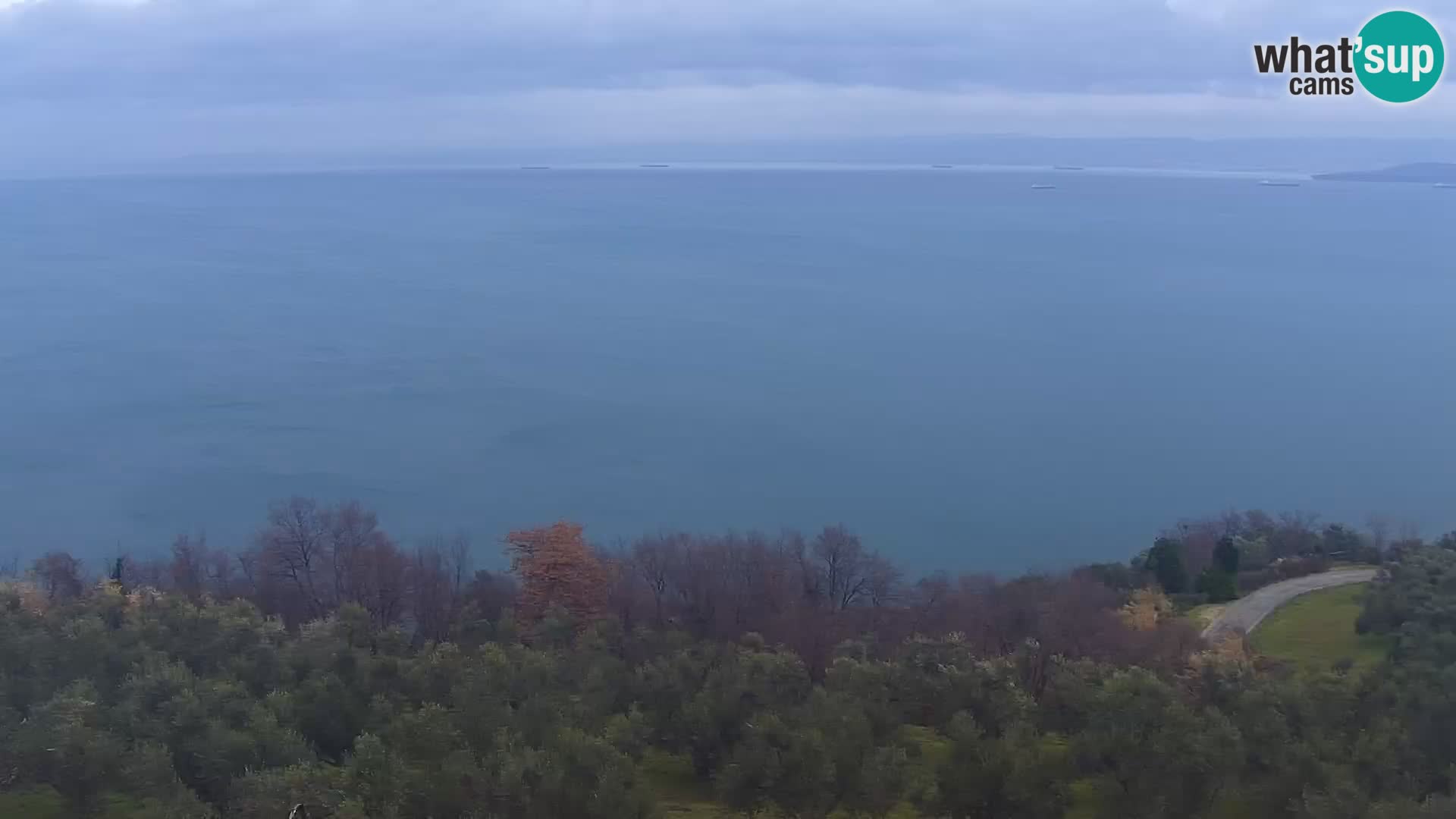 Izola Webcam – Aussicht von den Belvedere Hotels