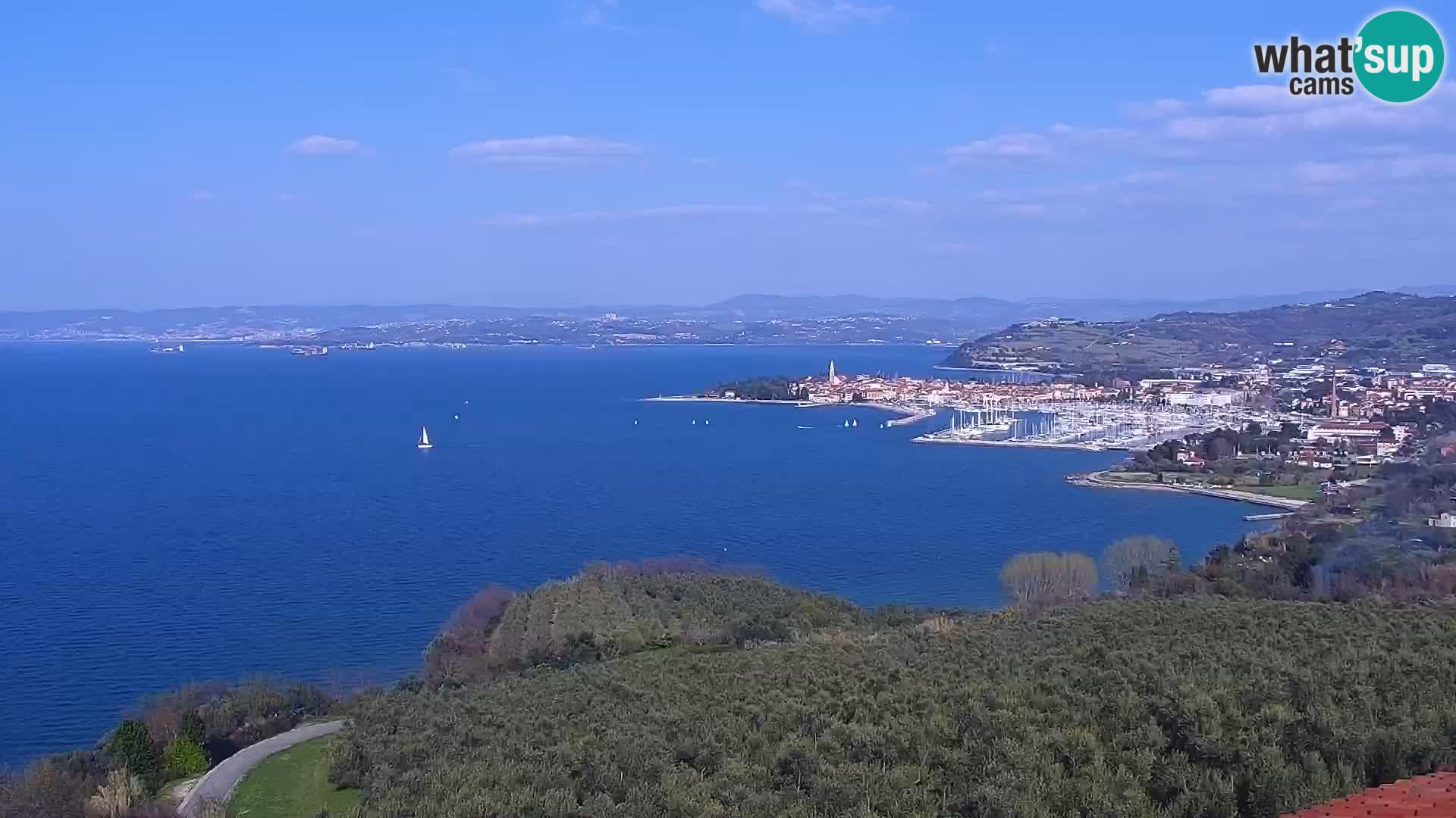 Izola webcam – Amazing view from Belvedere hotels