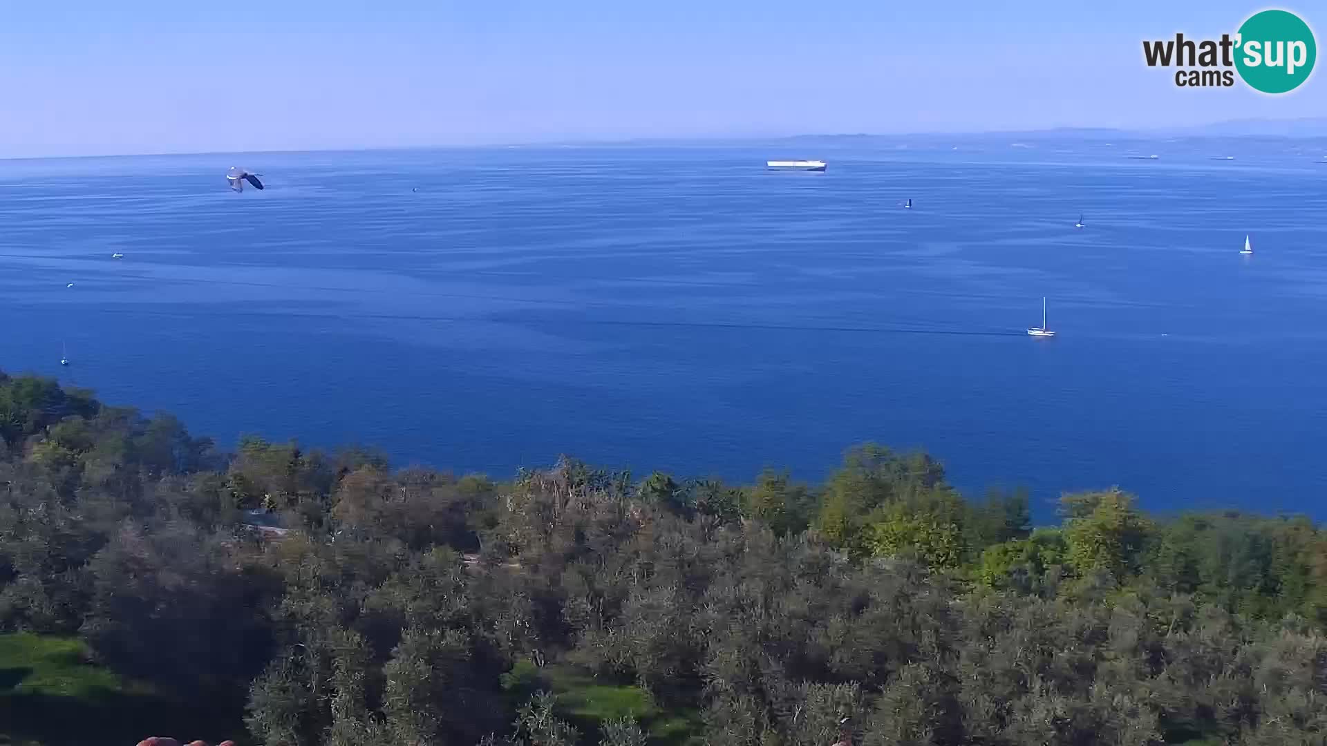 Izola live cam- Amazing view from Belvedere hotels