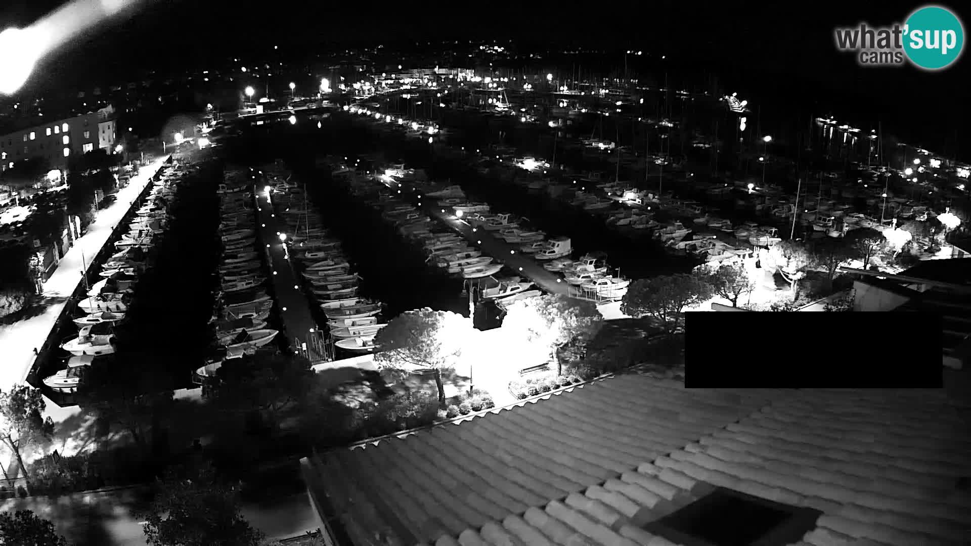 Izola Marina Webcam – Live View of the Marina