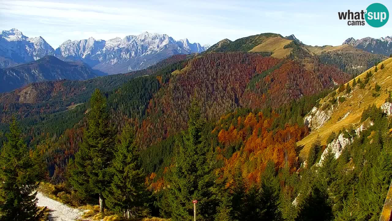 Koča na Golici Webcam (1582 m) – Slowenien