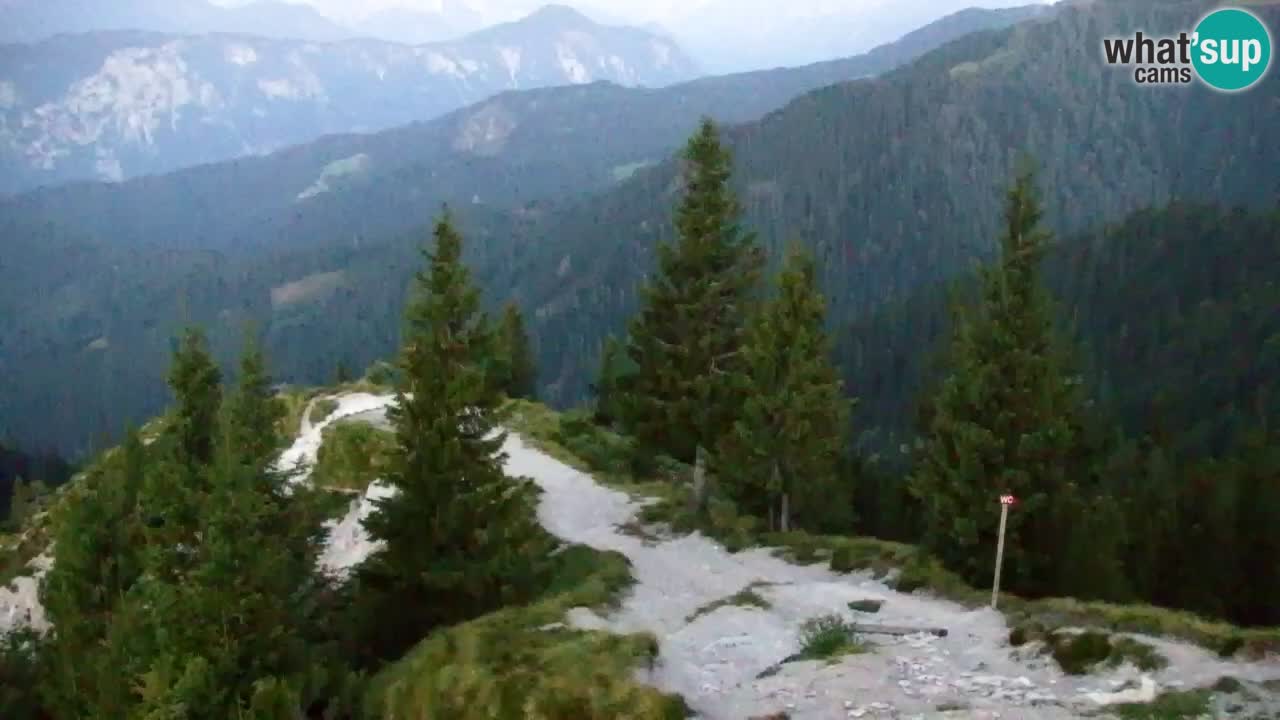 Koča na Golici Webcam (1582 m) – Slowenien