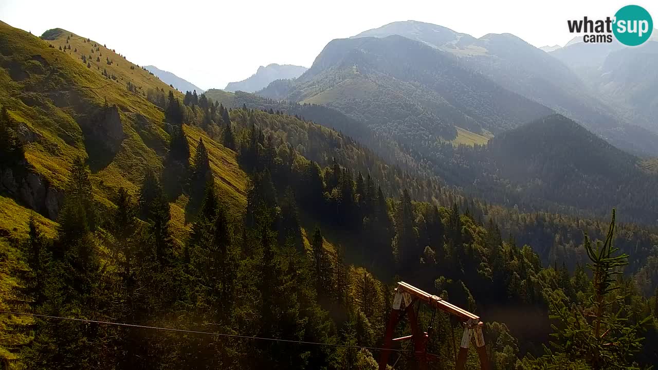 Web kamera Koča na Golici (1582 m) – Slovenija