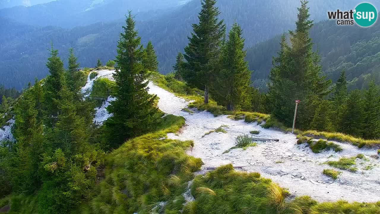 Koča na Golici Webcam (1582 m) – Slowenien