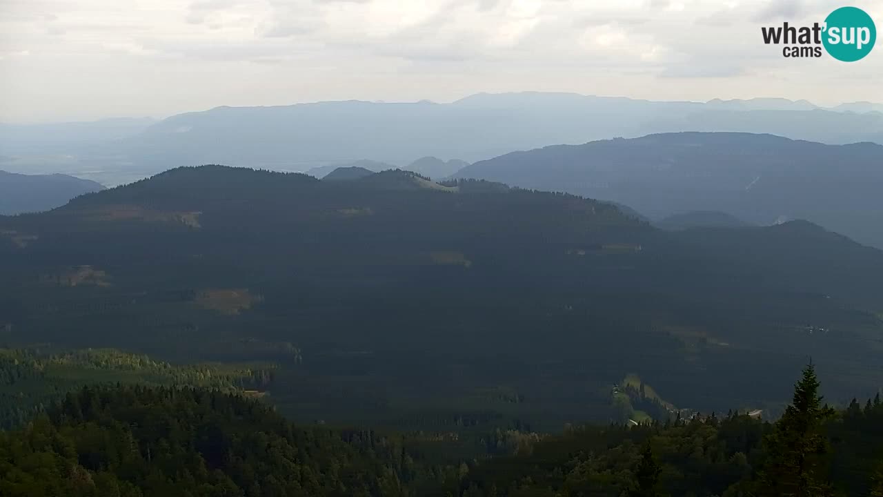 Koča na Golici Webcam (1582 m) – Slowenien