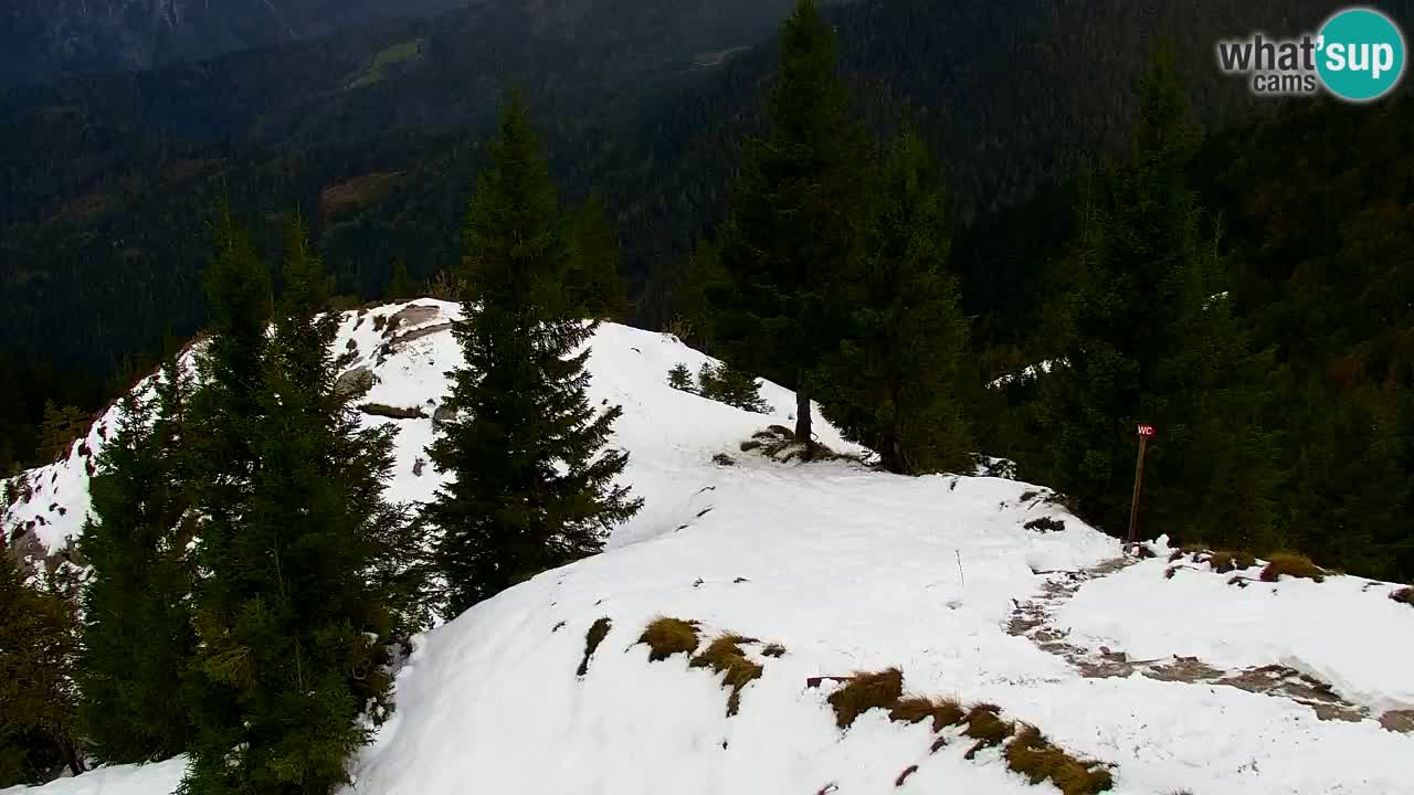 Webcam na Golici – Baita di montagna (1582 m) – Slovenia