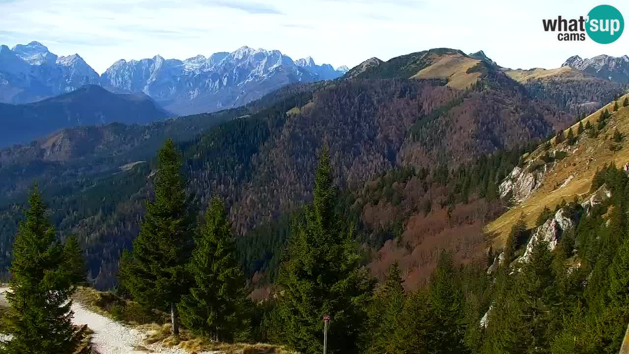 Koča na Golici Webcam (1582 m) – Slowenien