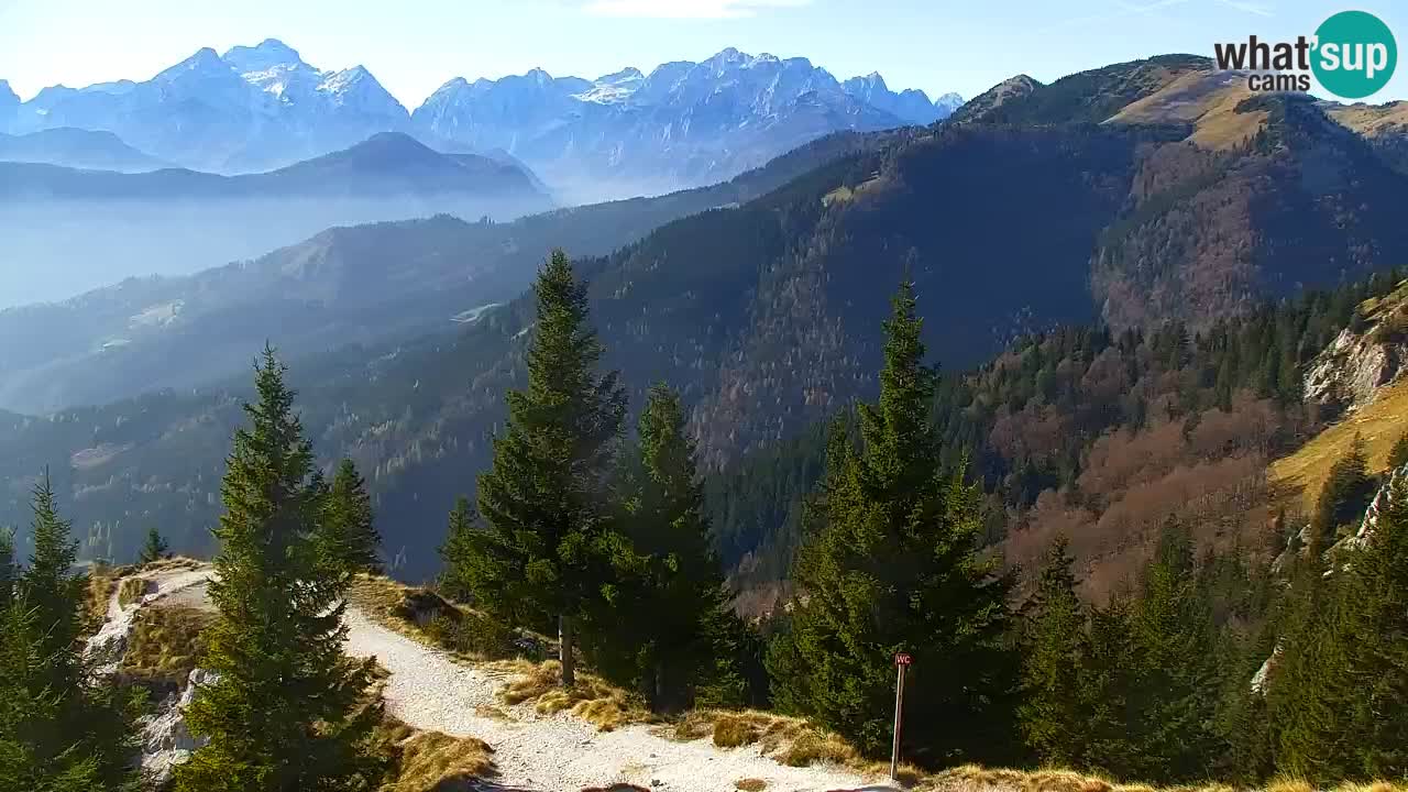 Webcam Koča na Golici (1582 m) – Slovenia