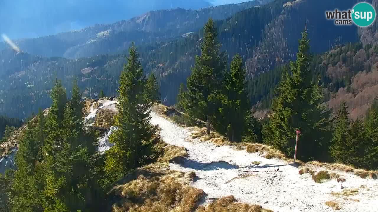 Webcam Koča na Golici (1582 m) – Slovenia