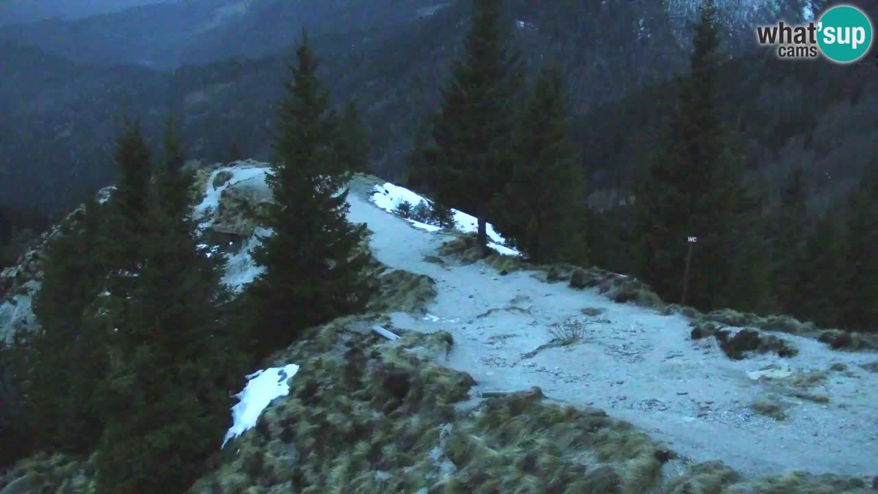 Koča na Golici Webcam (1582 m) – Slowenien